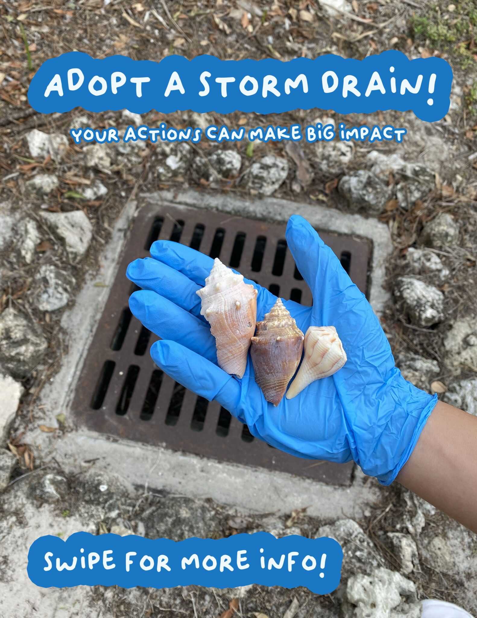 Carousel cover: a gloved hand holding debris over a storm drain grate, with “Adopt a Storm Drain! Your actions can make big impact” and “swipe for more info!”